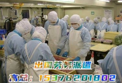 揭秘高薪出國勞務 建筑工、廚師、司機、普工年薪40萬起如何實現